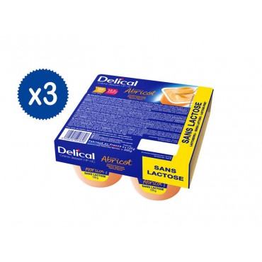 Delical Creme Dessert iperproteica ipercalorica Albicocca - 12 x 125 g